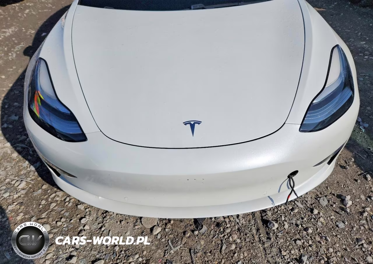2019 Tesla Model 3 VIN:5YJ3E1EA2KF397155 - 11