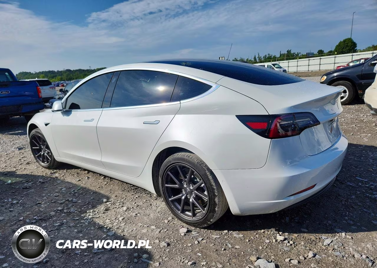 2019 Tesla Model 3 VIN:5YJ3E1EA2KF397155 - 2
