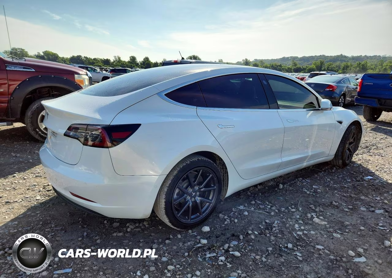 2019 Tesla Model 3 VIN:5YJ3E1EA2KF397155 - 3