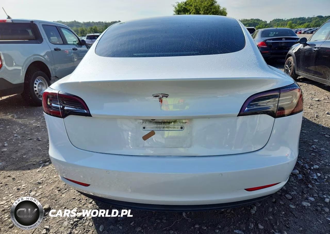 2019 Tesla Model 3 VIN:5YJ3E1EA2KF397155 - 6
