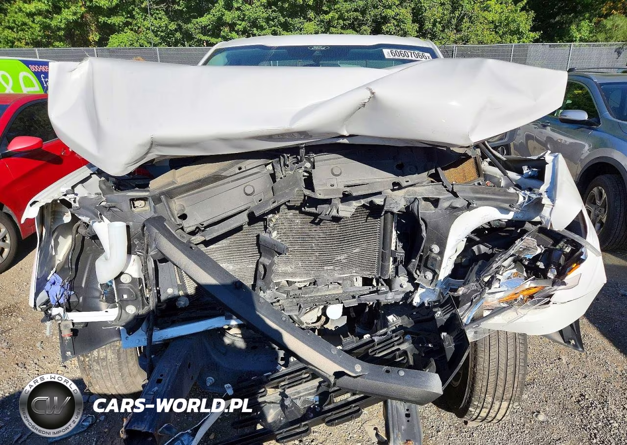 2021 Ford F150 VIN:1FTMF1CBXMKE63065 - 11