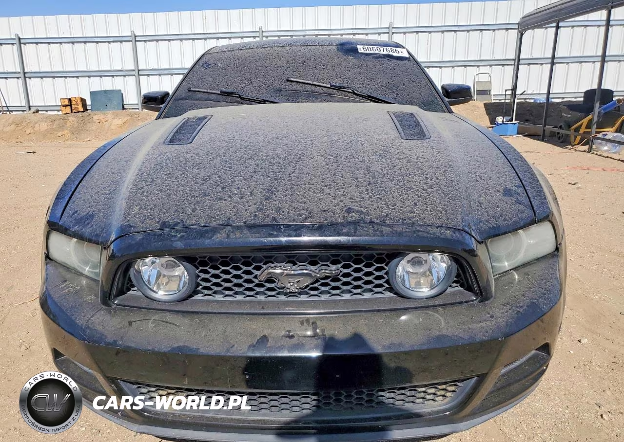 2014 Ford Mustang Gt VIN:1ZVBP8CF4E5207890 - 5