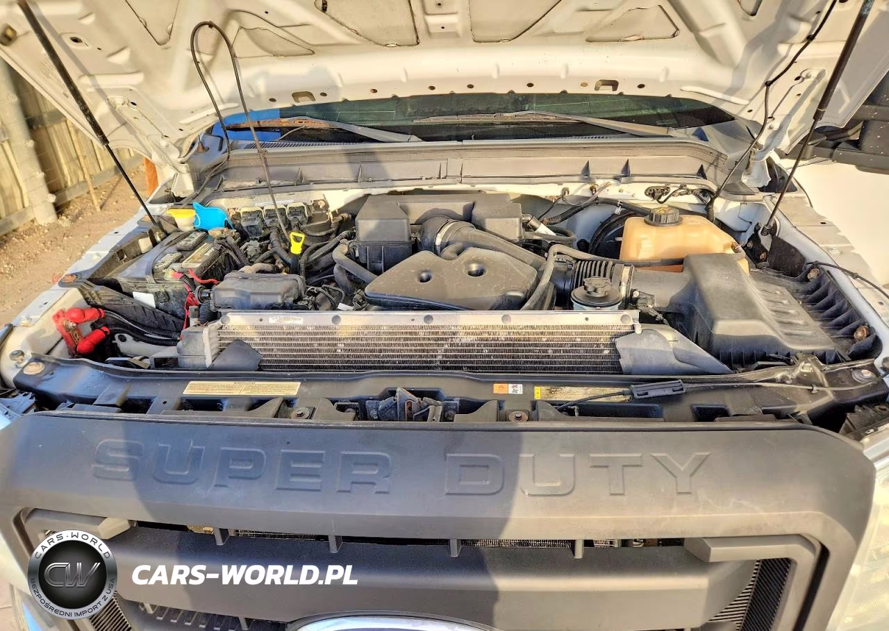 2012 Ford F250 Super Duty VIN:1FT7W2B60CEA66839 - 11