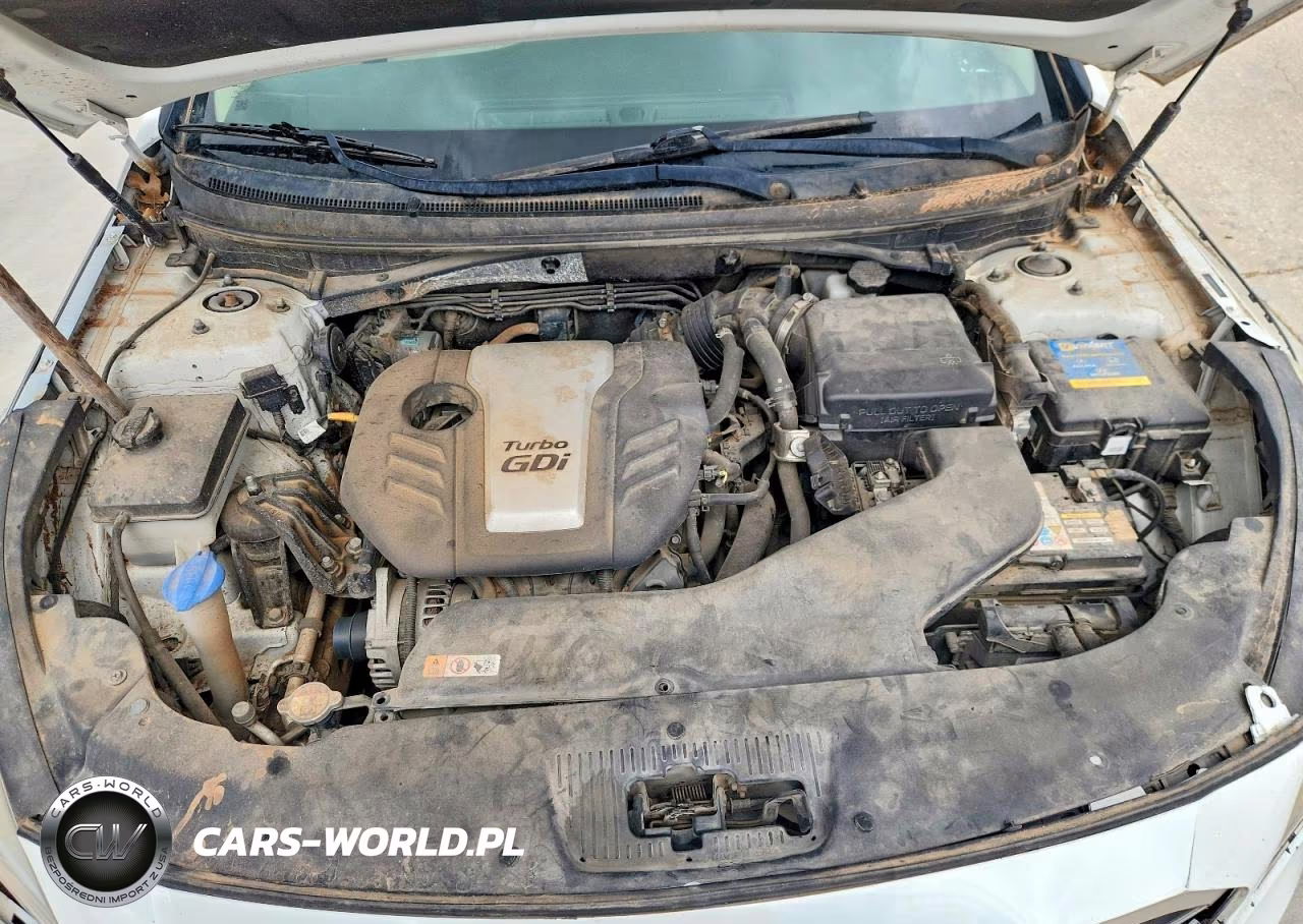 2017 Hyundai Sonata Eco VIN:5NPE24AA1HH449071 - 11