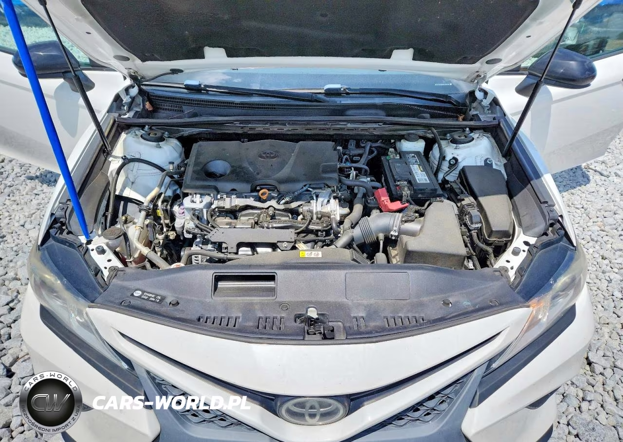 2019 Toyota Camry Se VIN:4T1B11HK8KU268383 - 11