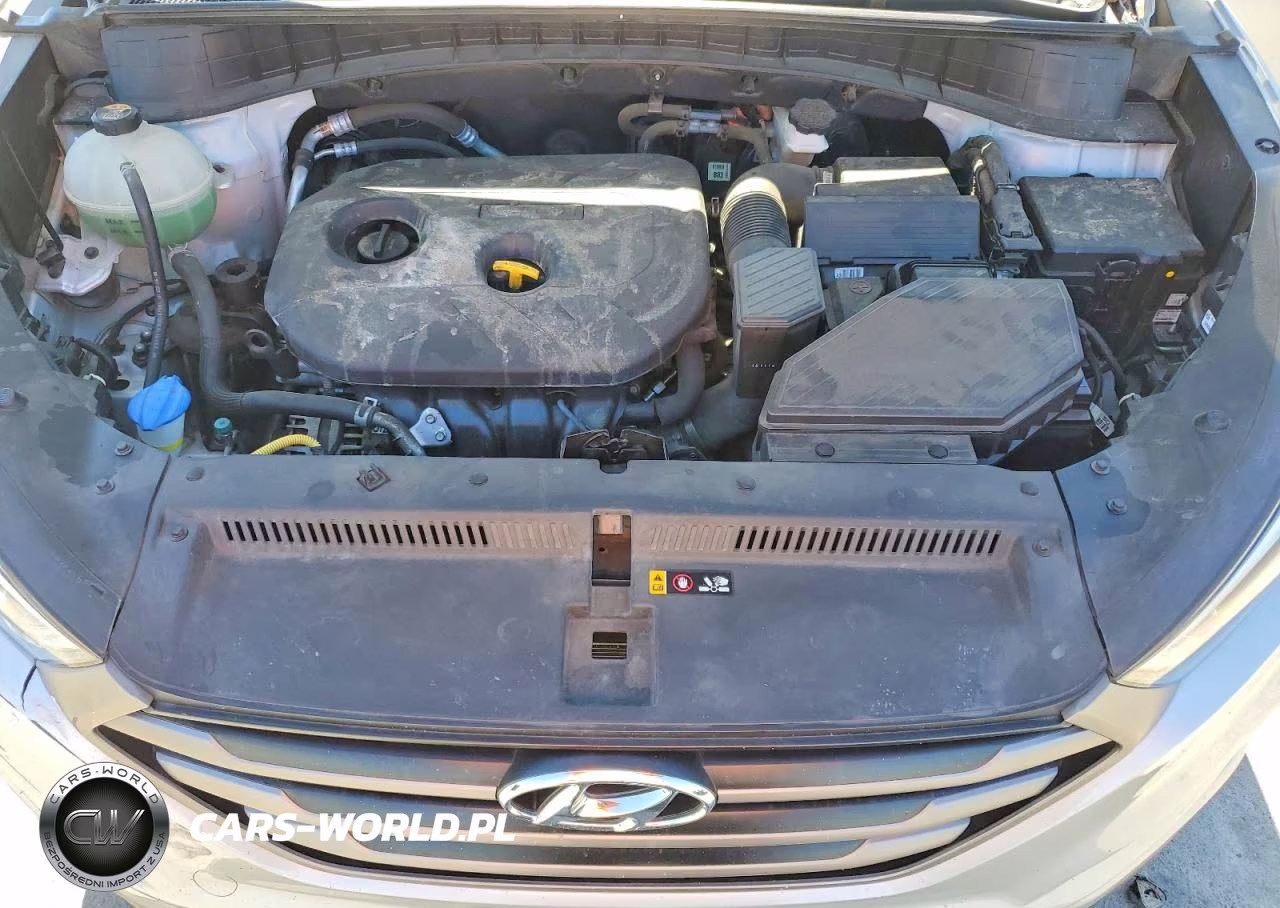 2016 Hyundai Tucson Se VIN:KM8J33A48GU130864 - 12