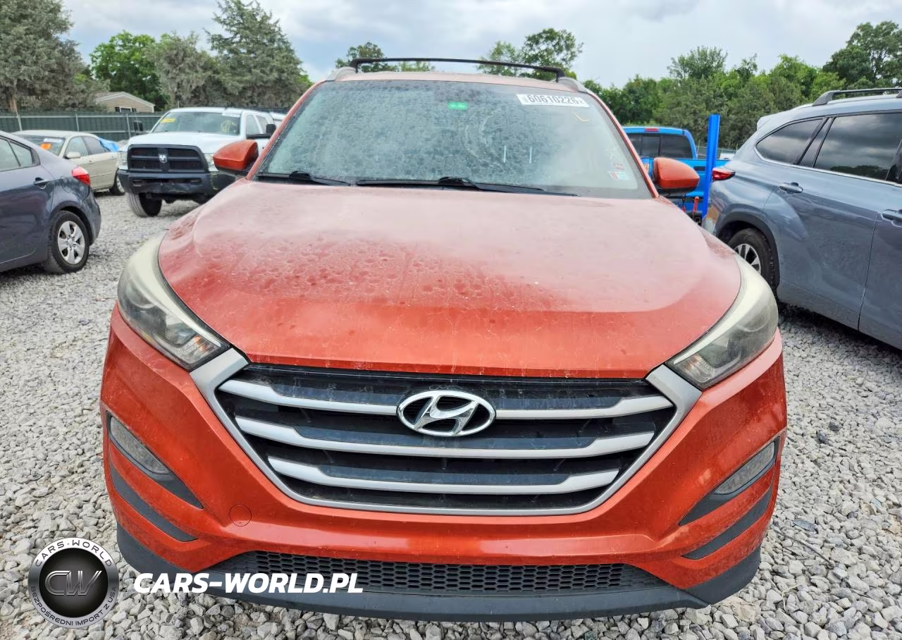 2017 Hyundai Tucson Limited VIN:KM8J33A46HU341353 - 5