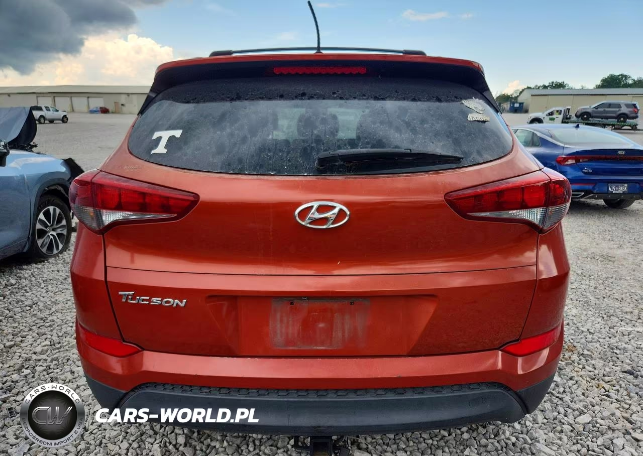 2017 Hyundai Tucson Limited VIN:KM8J33A46HU341353 - 6