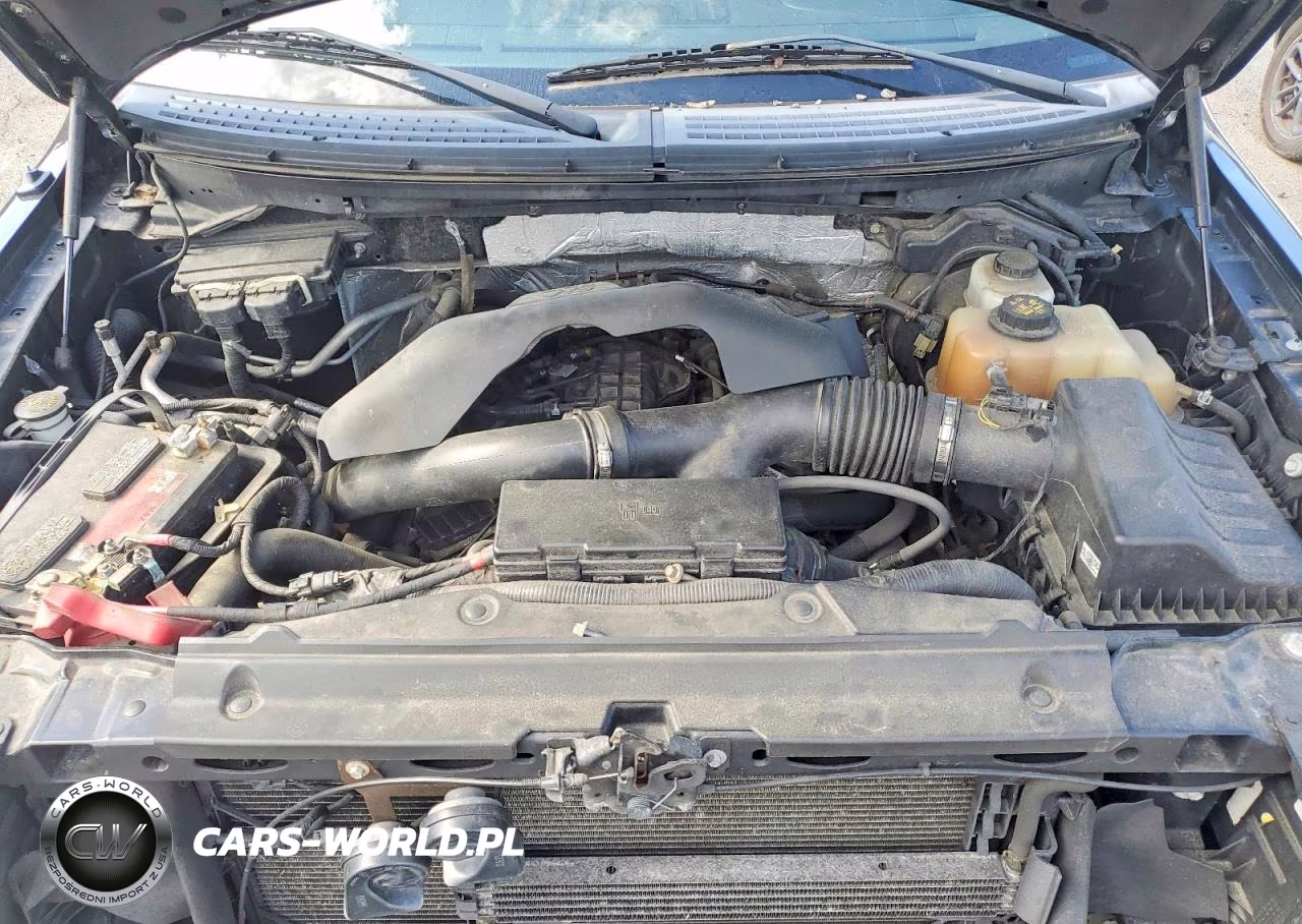 2013 Ford F150 Supercrew VIN:1FTFW1ET6DFA84264 - 11