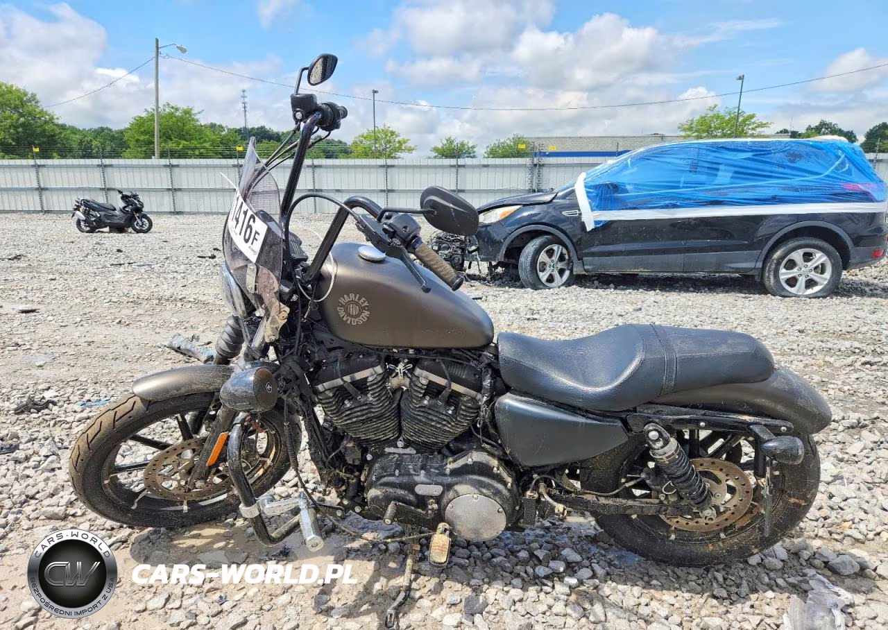 2021 Harley-Davidson Xl883 N VIN:1HD4LE219MB409814 - 3