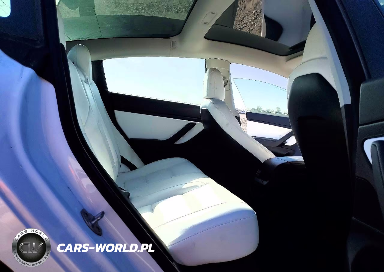 2020 Tesla Model 3 VIN:5YJ3E1EAXLF599095 - 10