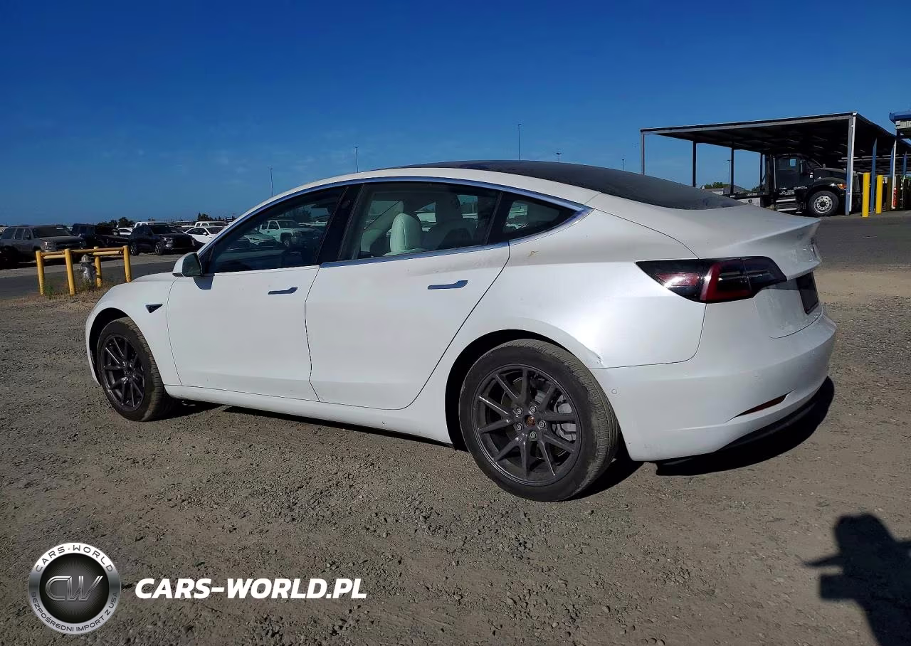 2020 Tesla Model 3 VIN:5YJ3E1EAXLF599095 - 2
