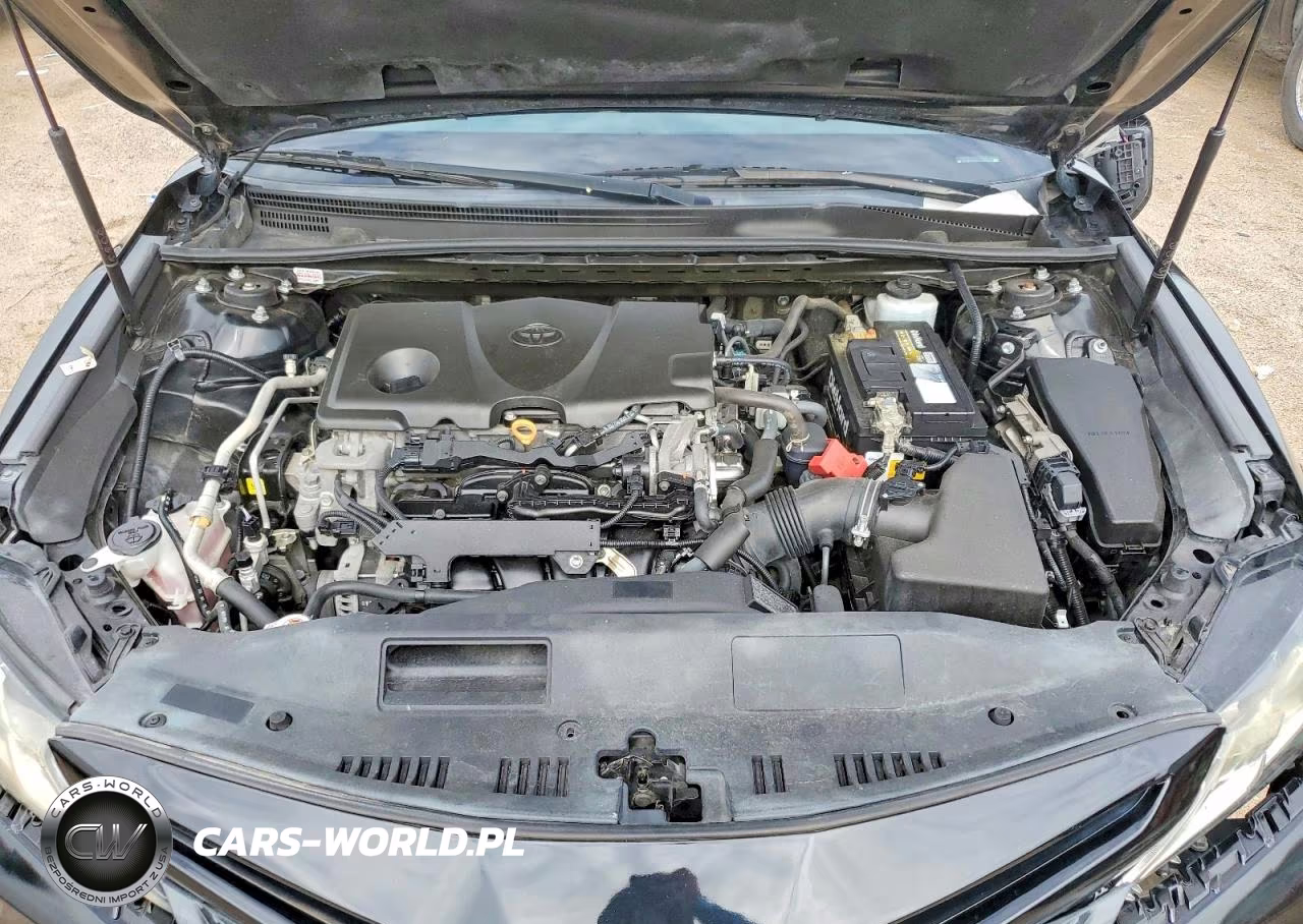 2019 Toyota Camry Se VIN:4T1B11HK5KU829851 - 11