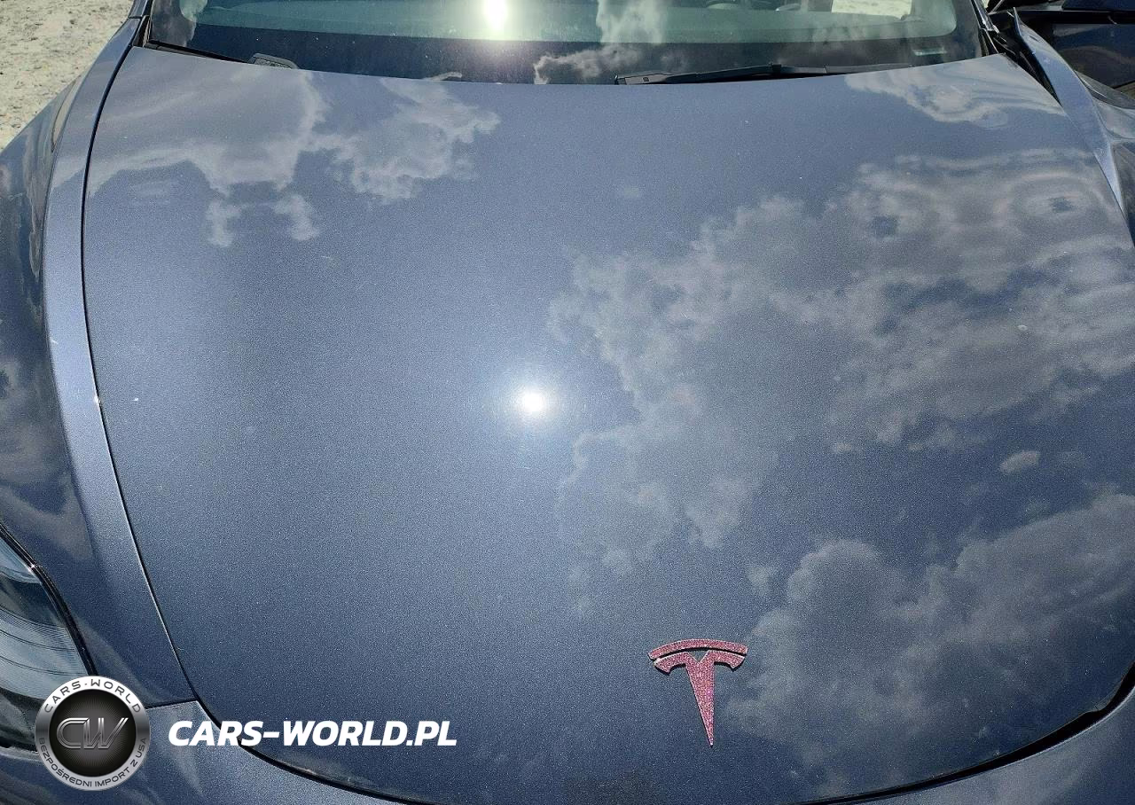 2023 Tesla Model 3 VIN:5YJ3E1EA4PF421995 - 11