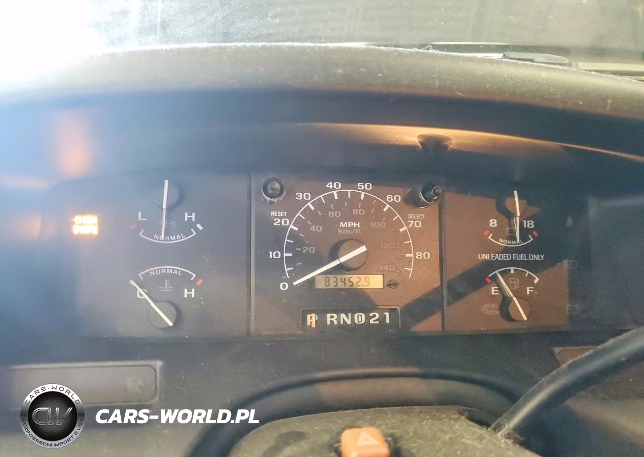 1995 Ford F150 VIN:1FTEX14N2SKA21033 - 9