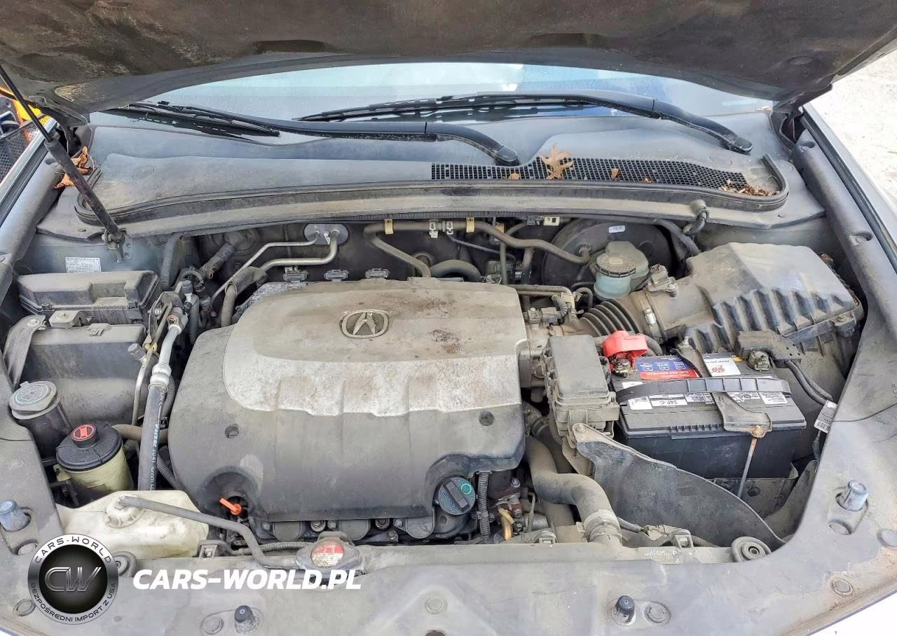 2011 Acura Zdx Advance VIN:2HNYB1H68BH500685 - 12