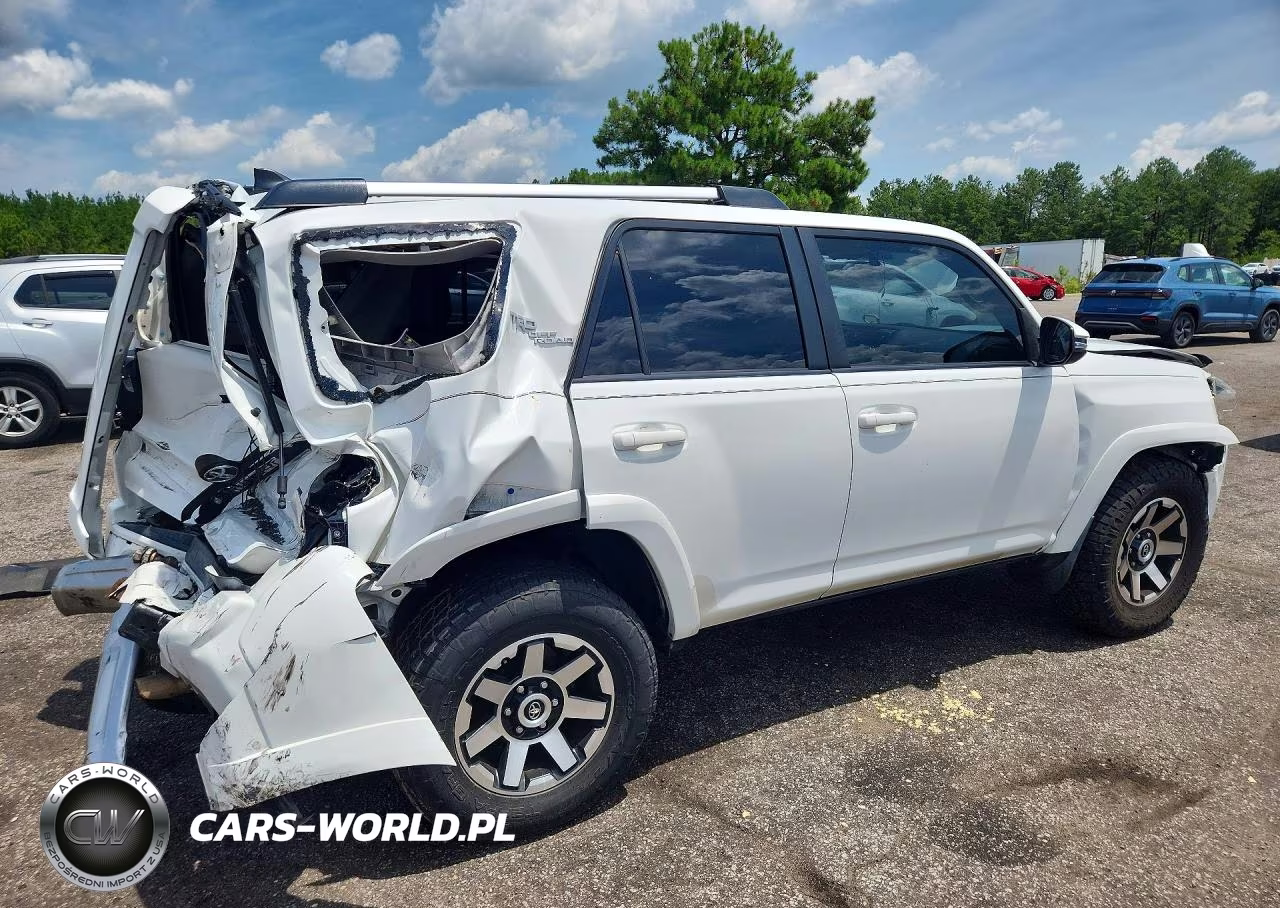 2017 Toyota 4Runner Trd Off-Road Premium VIN:JTEBU5JR5H5445027 - 3