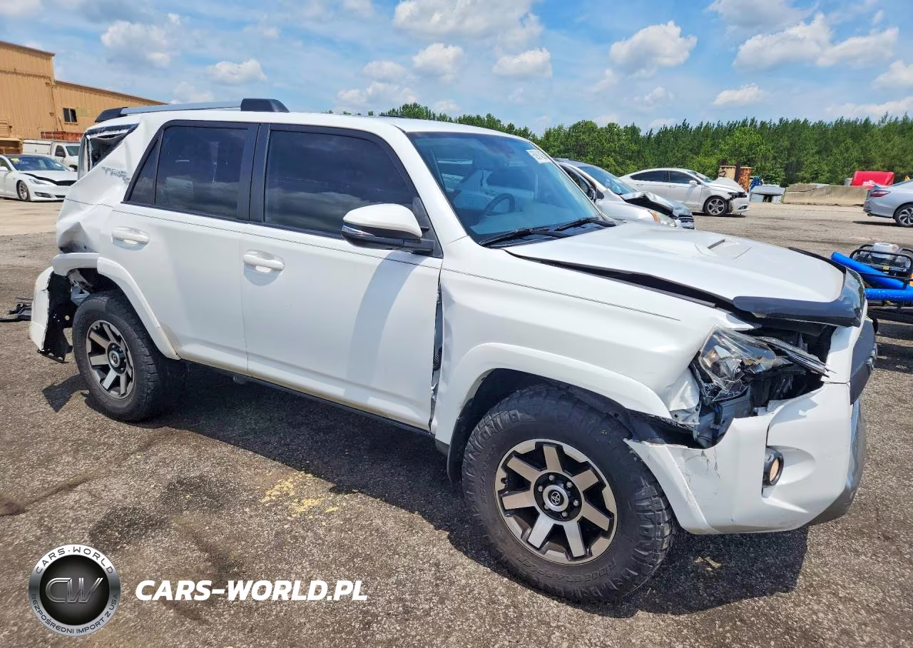 2017 Toyota 4Runner Trd Off-Road Premium VIN:JTEBU5JR5H5445027 - 4
