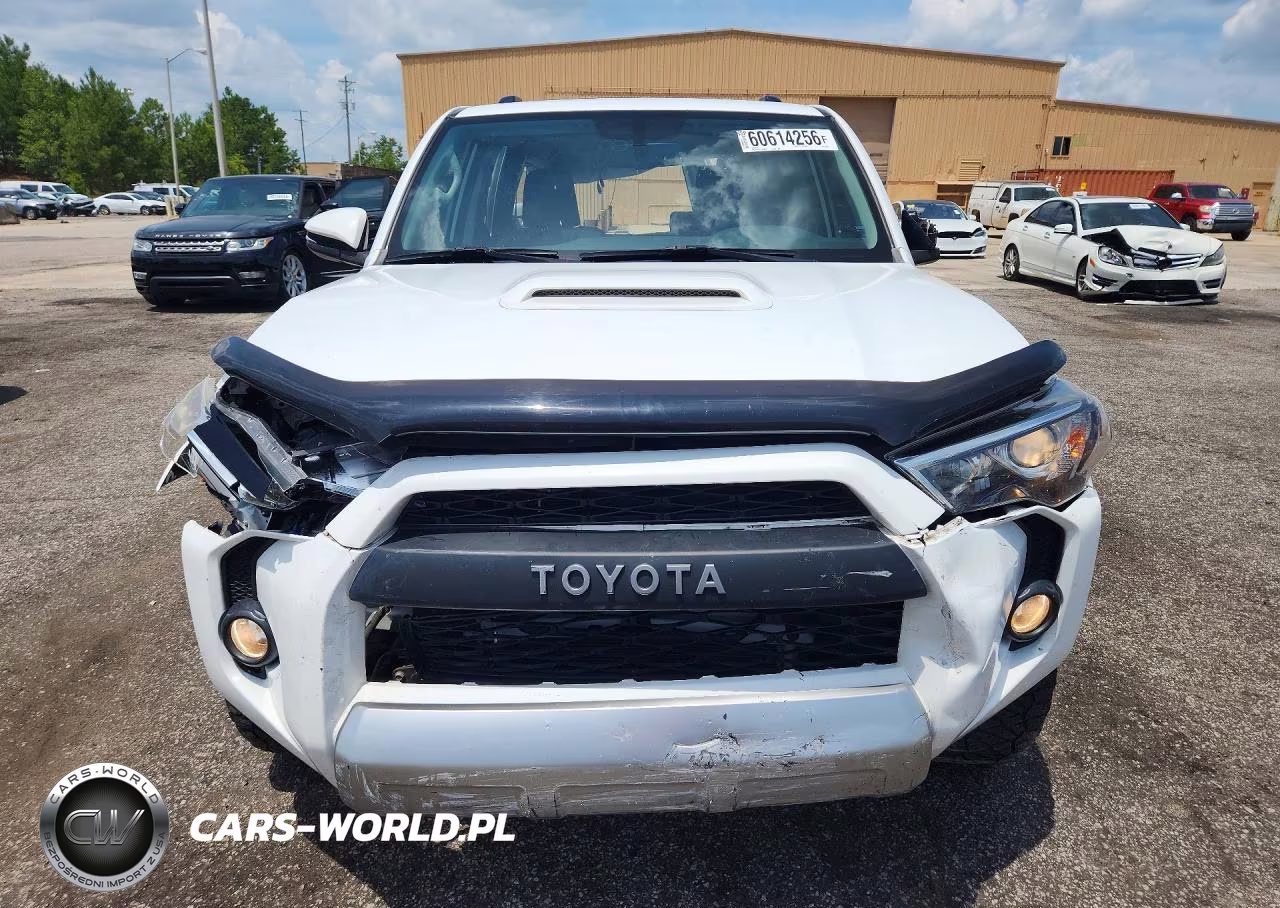 2017 Toyota 4Runner Trd Off-Road Premium VIN:JTEBU5JR5H5445027 - 5