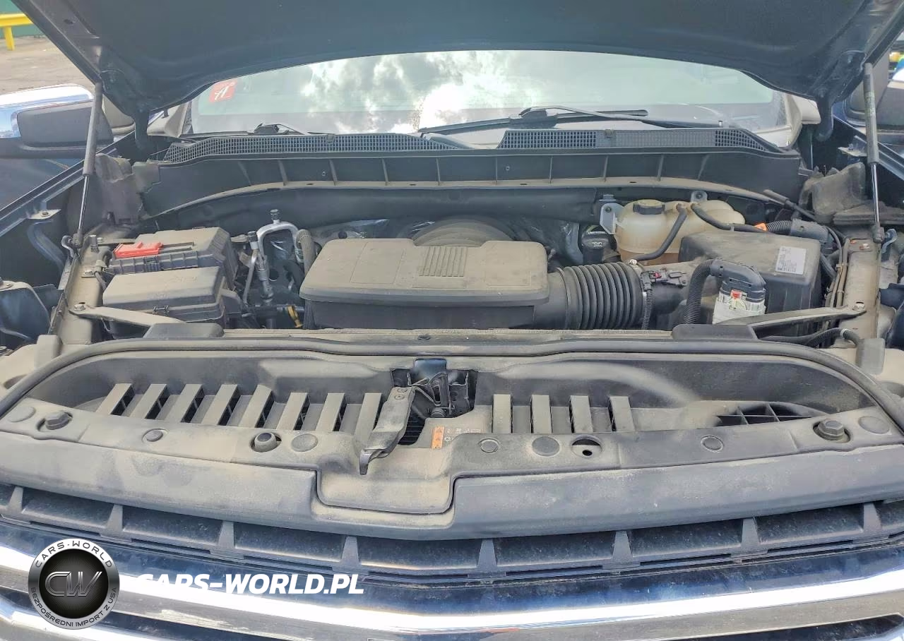 2019 Chevrolet Silverado K1500 Lt VIN:1GCVYDEDXKZ347173 - 11