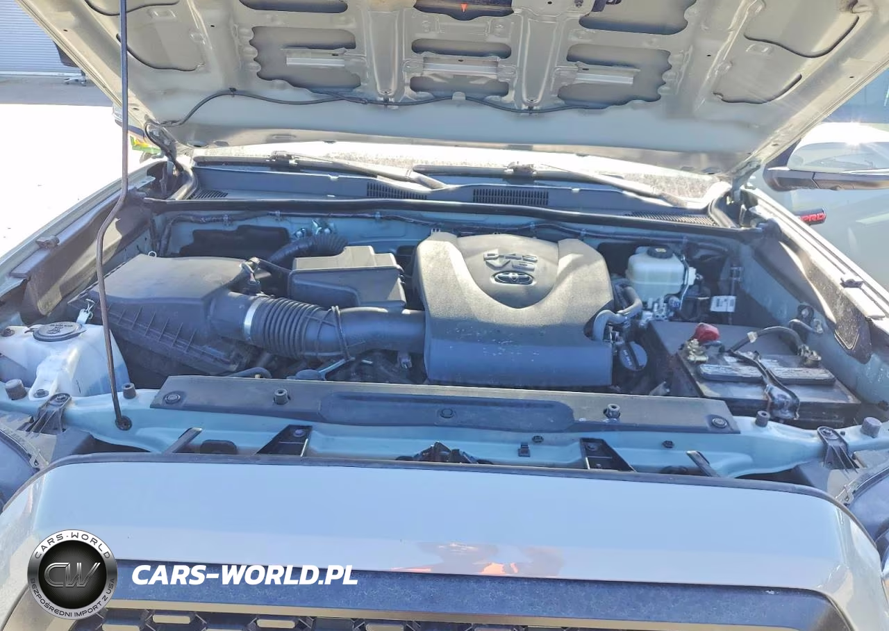 2021 Toyota Tacoma Trd Pro VIN:5TFCZ5AN5MX272664 - 11