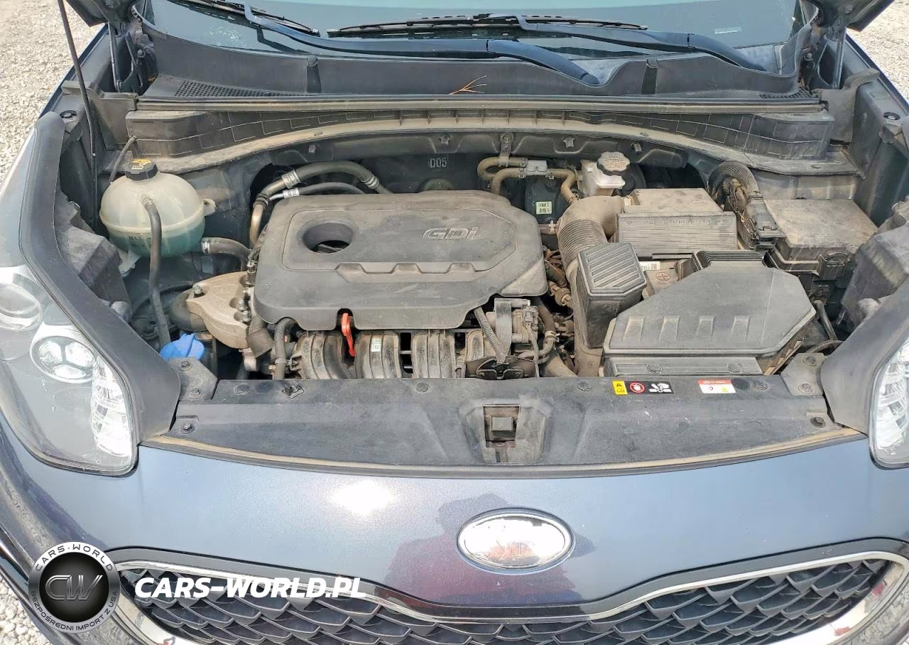 2020 Kia Sportage Lx VIN:KNDPMCAC3L7637313 - 12