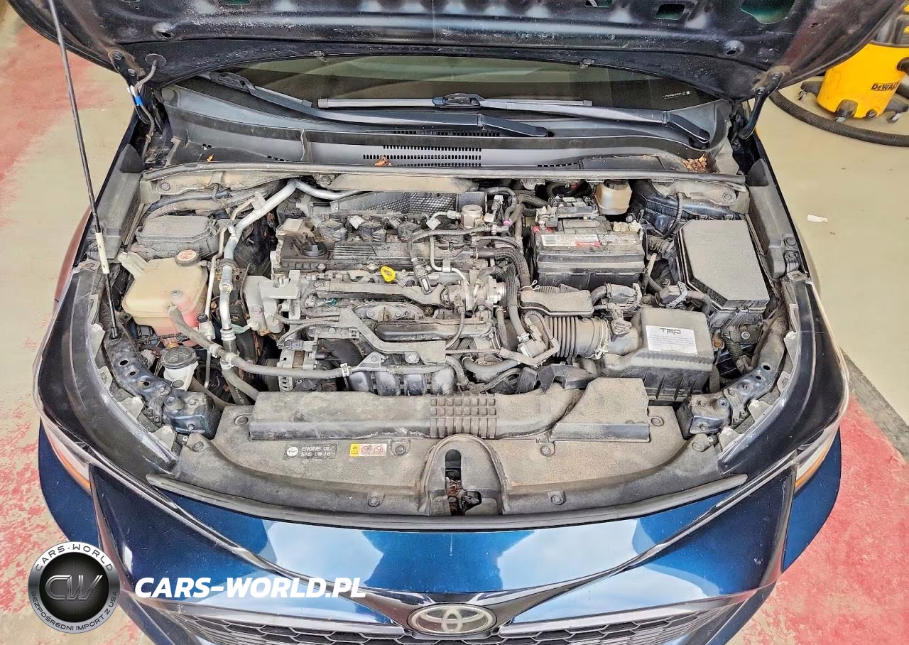 2019 Toyota Corolla Hatchback Se VIN:JTNK4RBE3K3031119 - 12