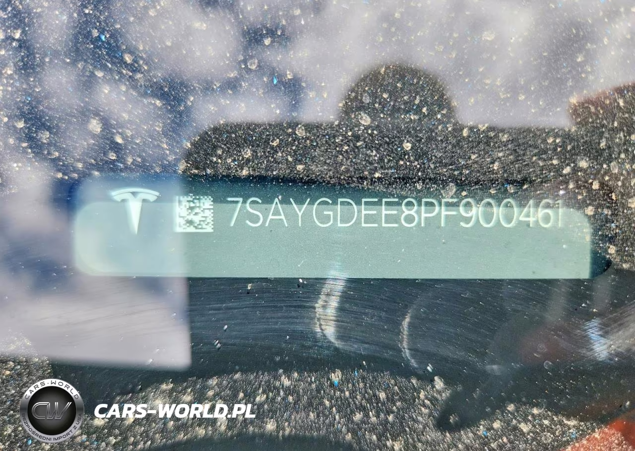 2023 Tesla Model Y VIN:7SAYGDEE8PF900461 - 12