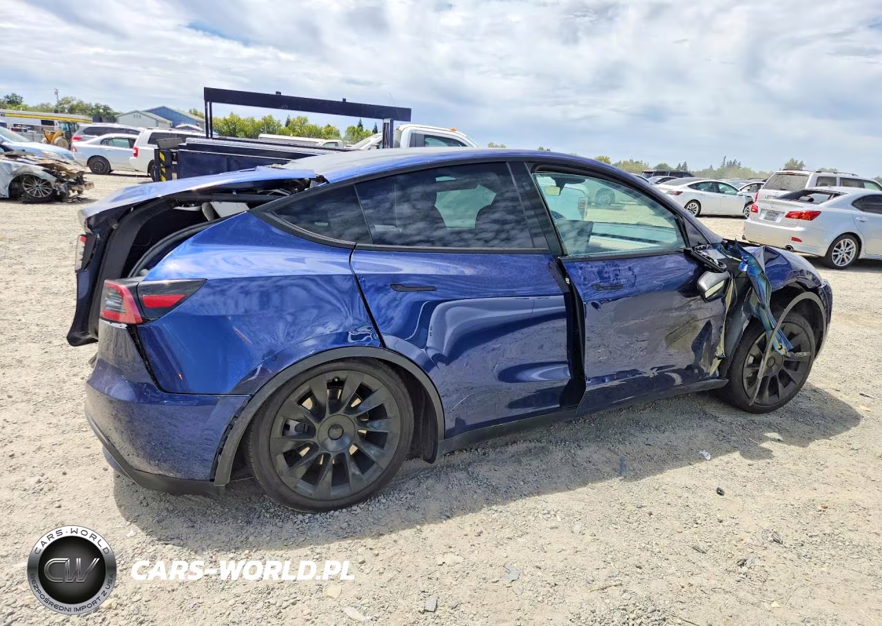 2023 Tesla Model Y VIN:7SAYGDEE8PF900461 - 3
