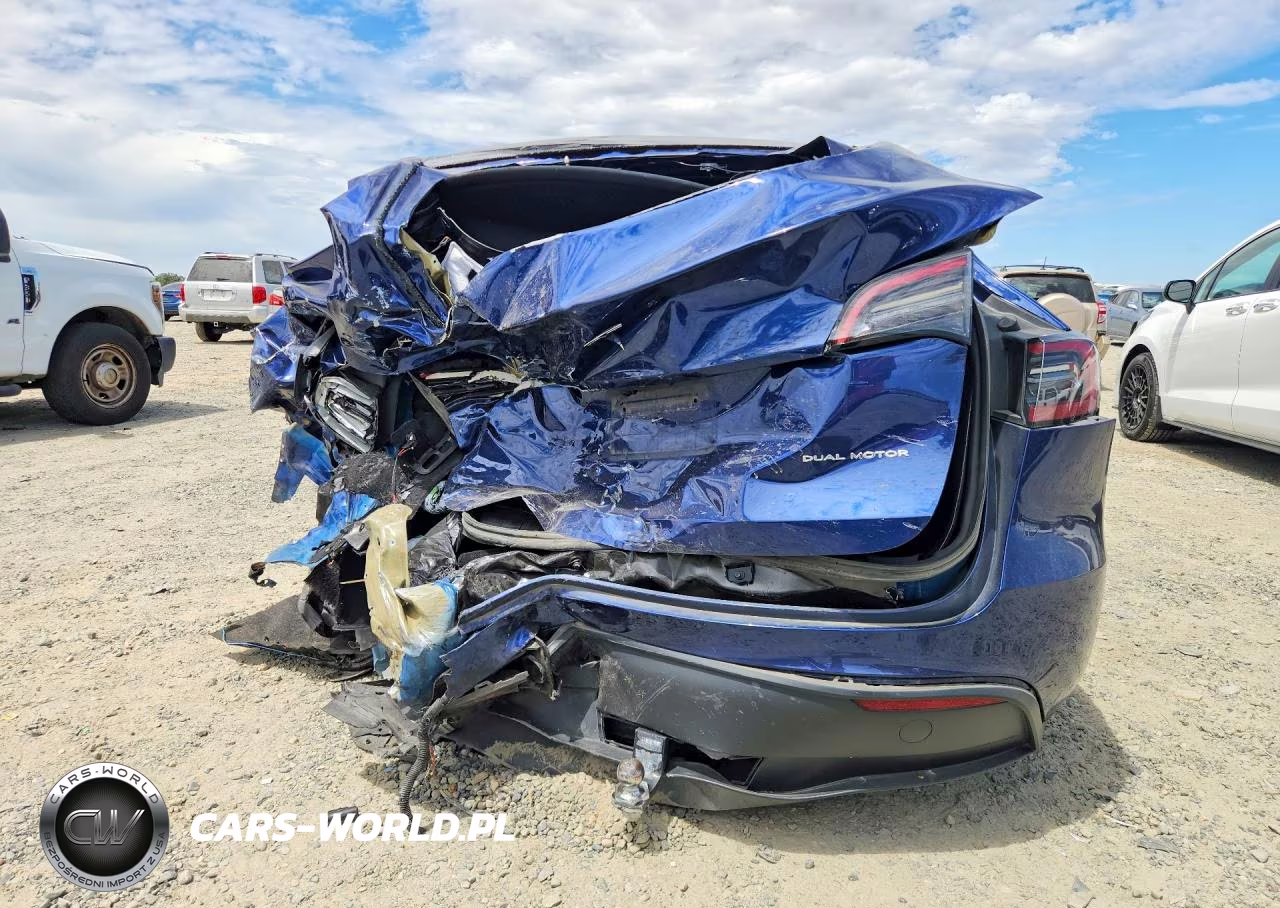 2023 Tesla Model Y VIN:7SAYGDEE8PF900461 - 6