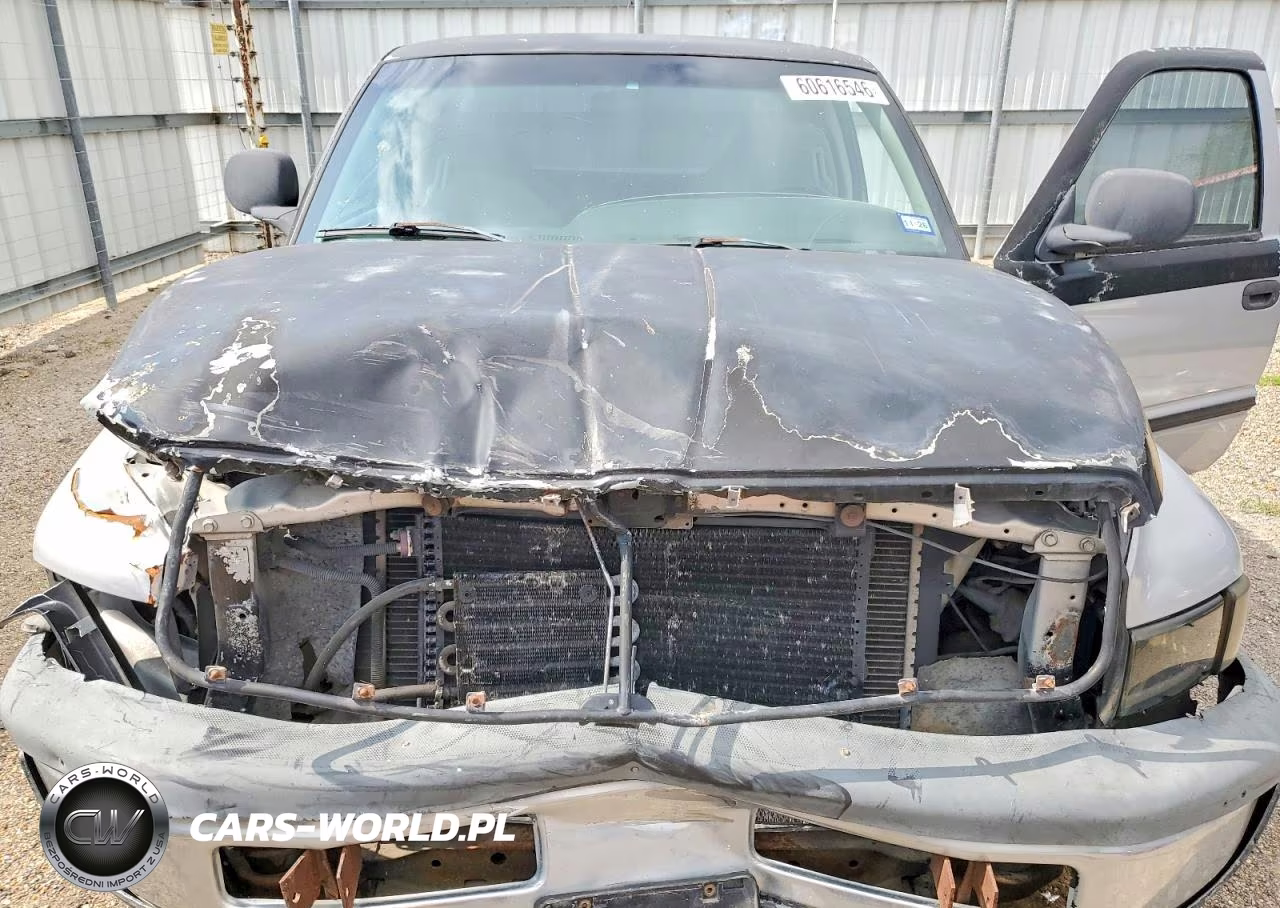 1999 Dodge Ram 1500 VIN:1B7HC13Z3XJ508364 - 11