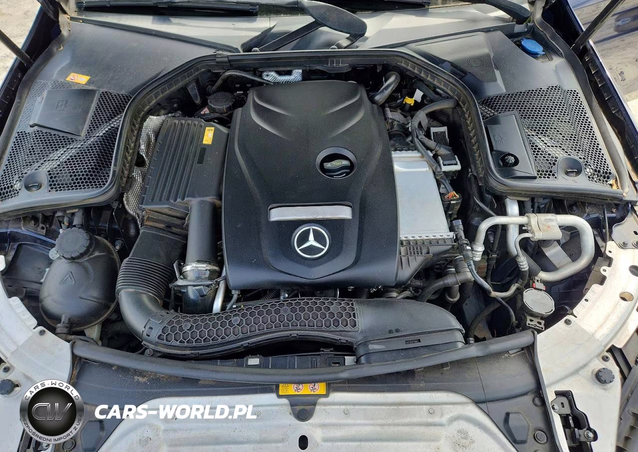 2016 Mercedes-Benz C 300 VIN:55SWF4JB1GU106516 - 11