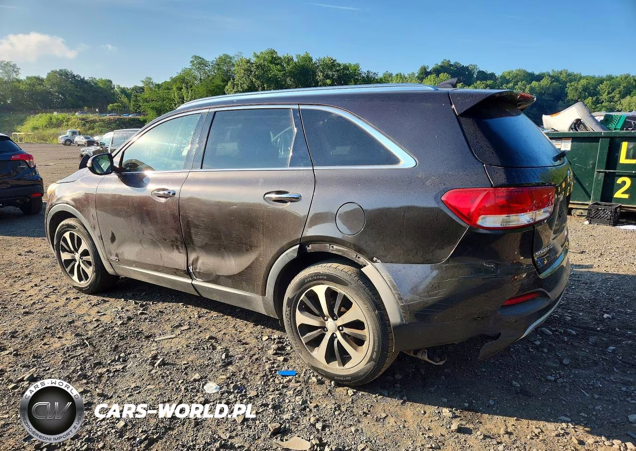 2017 Kia Sorento Ex VIN:5XYPHDA11HG253646 - 2