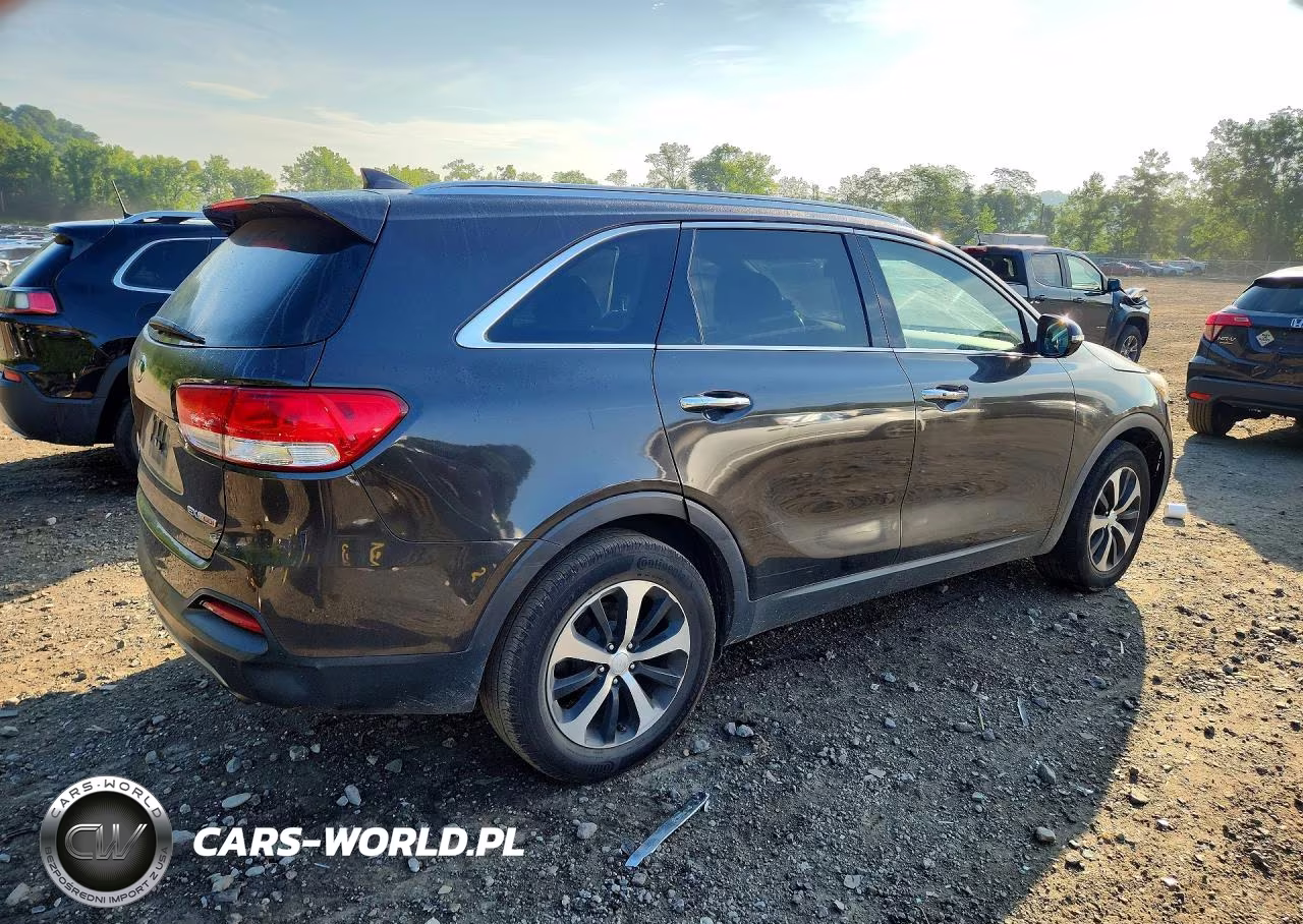 2017 Kia Sorento Ex VIN:5XYPHDA11HG253646 - 3