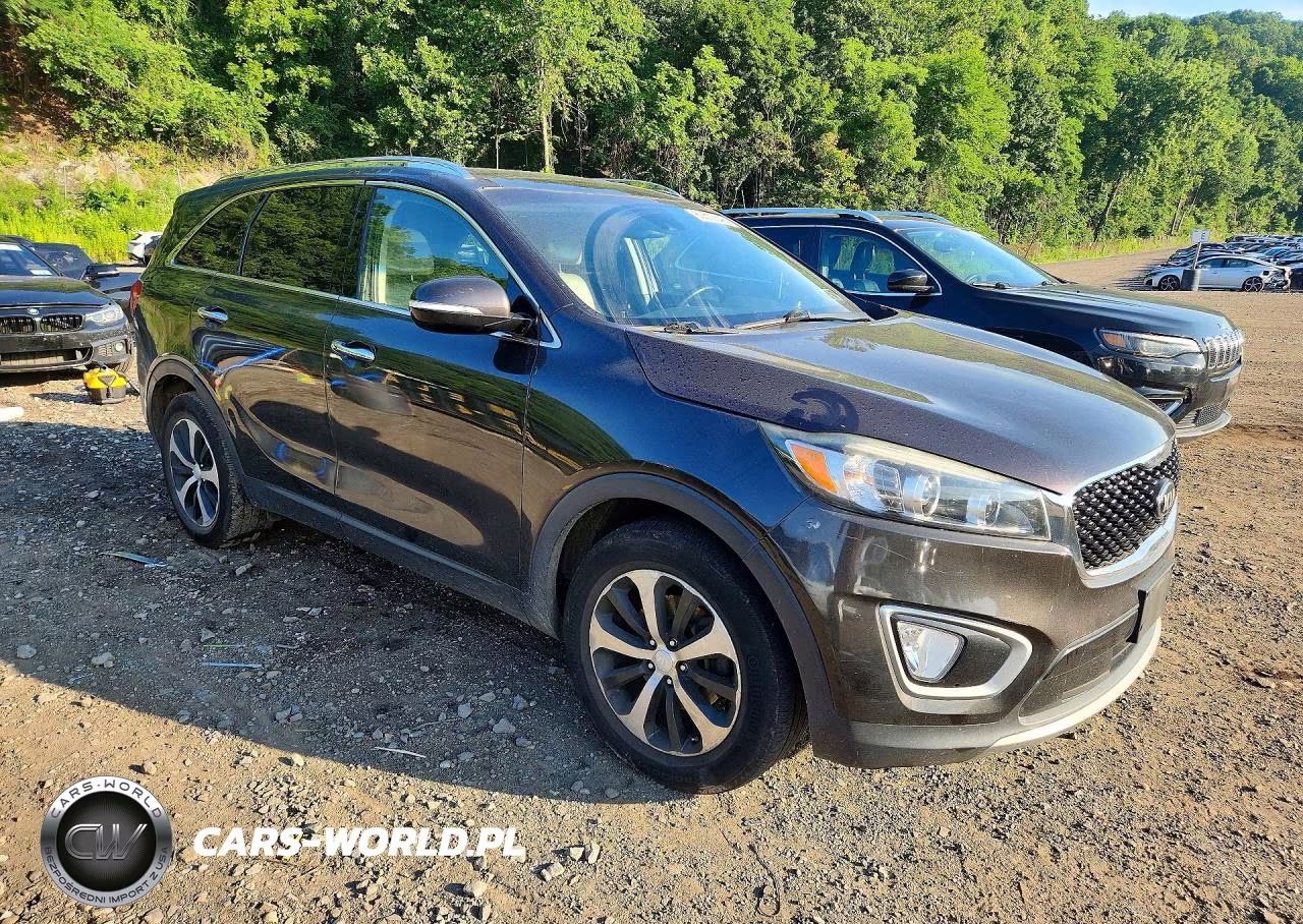 2017 Kia Sorento Ex VIN:5XYPHDA11HG253646 - 4