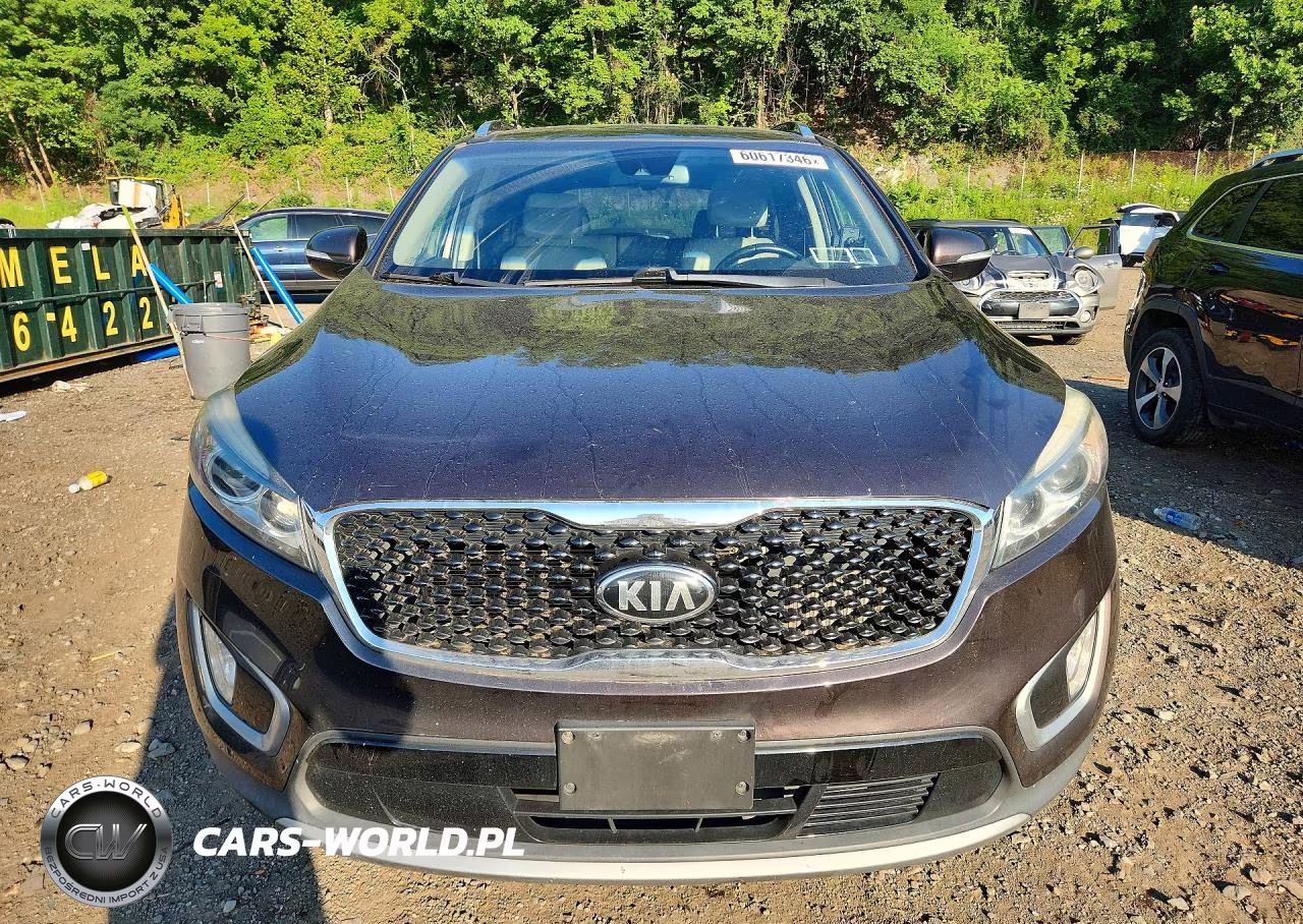2017 Kia Sorento Ex VIN:5XYPHDA11HG253646 - 5