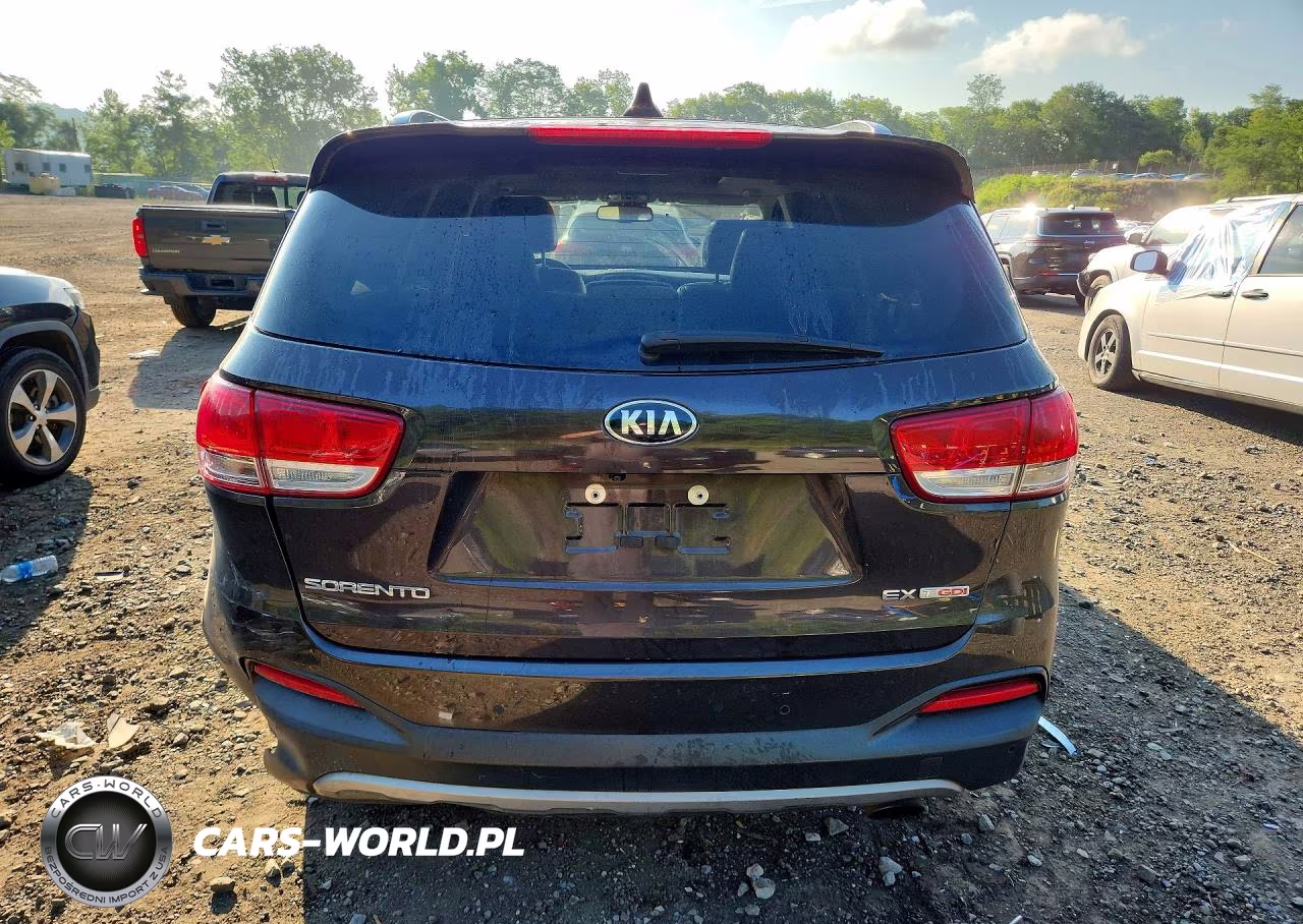 2017 Kia Sorento Ex VIN:5XYPHDA11HG253646 - 6