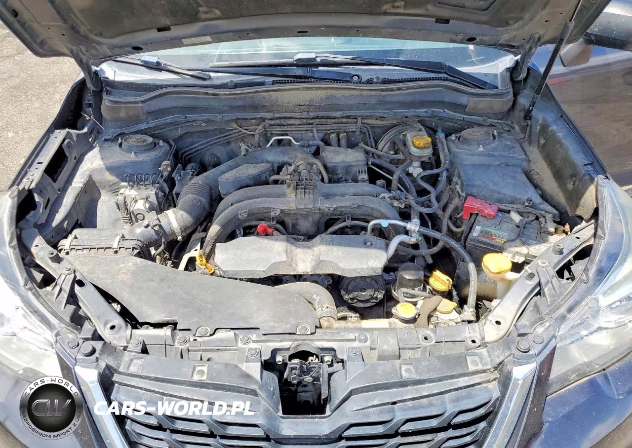 2017 Subaru Forester 2.5I VIN:JF2SJAAC1HG491848 - 11