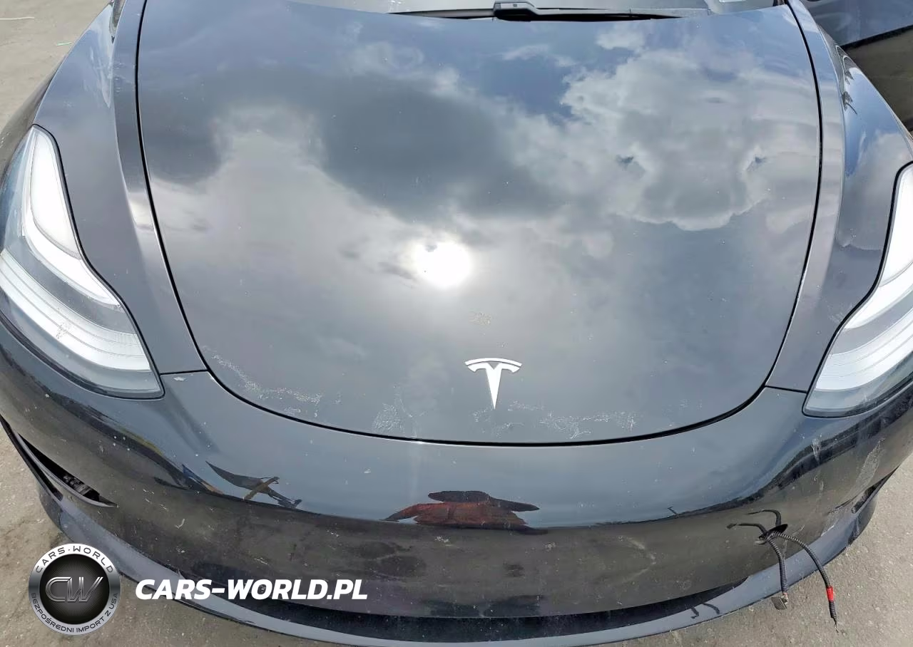 2020 Tesla Model 3 VIN:5YJ3E1EA3LF657550 - 11