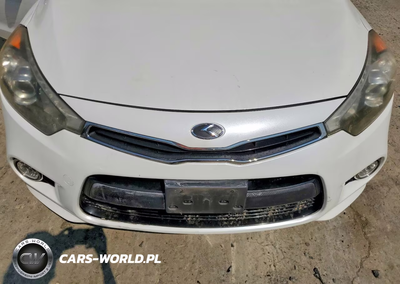 2015 Kia Forte Sx VIN:KNAFZ5A38F5293905 - 11