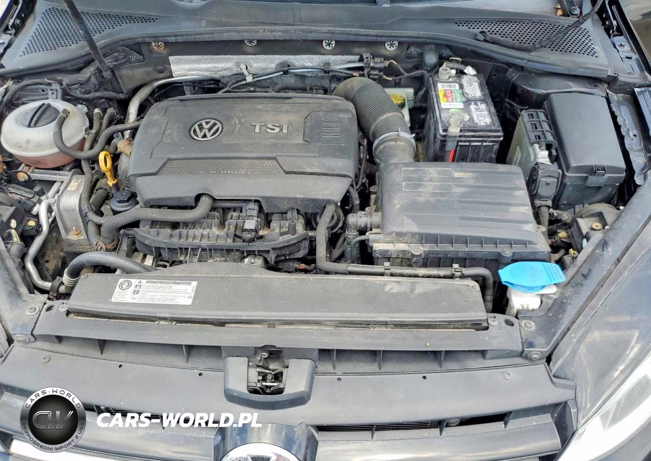 2015 Volkswagen Golf VIN:3VW817AU0FM052032 - 11