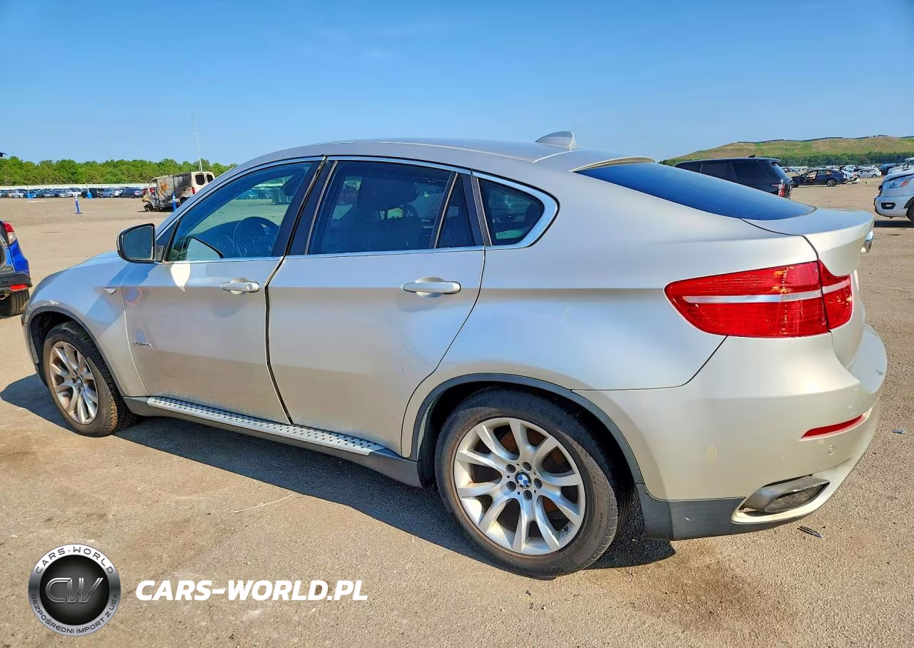 2009 BMW X6 VIN:5UXFG83539LZ93001 - 2
