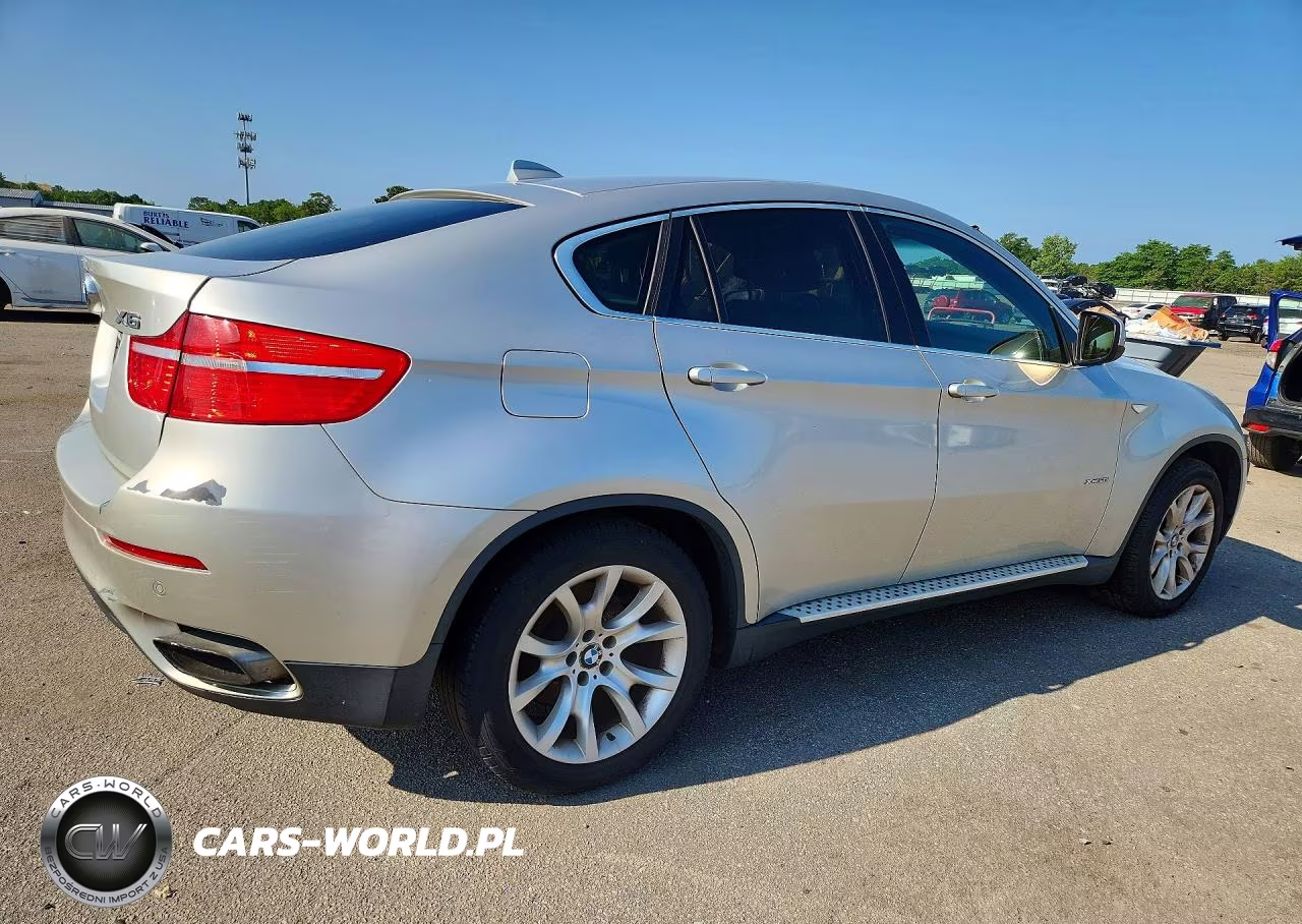 2009 BMW X6 VIN:5UXFG83539LZ93001 - 3