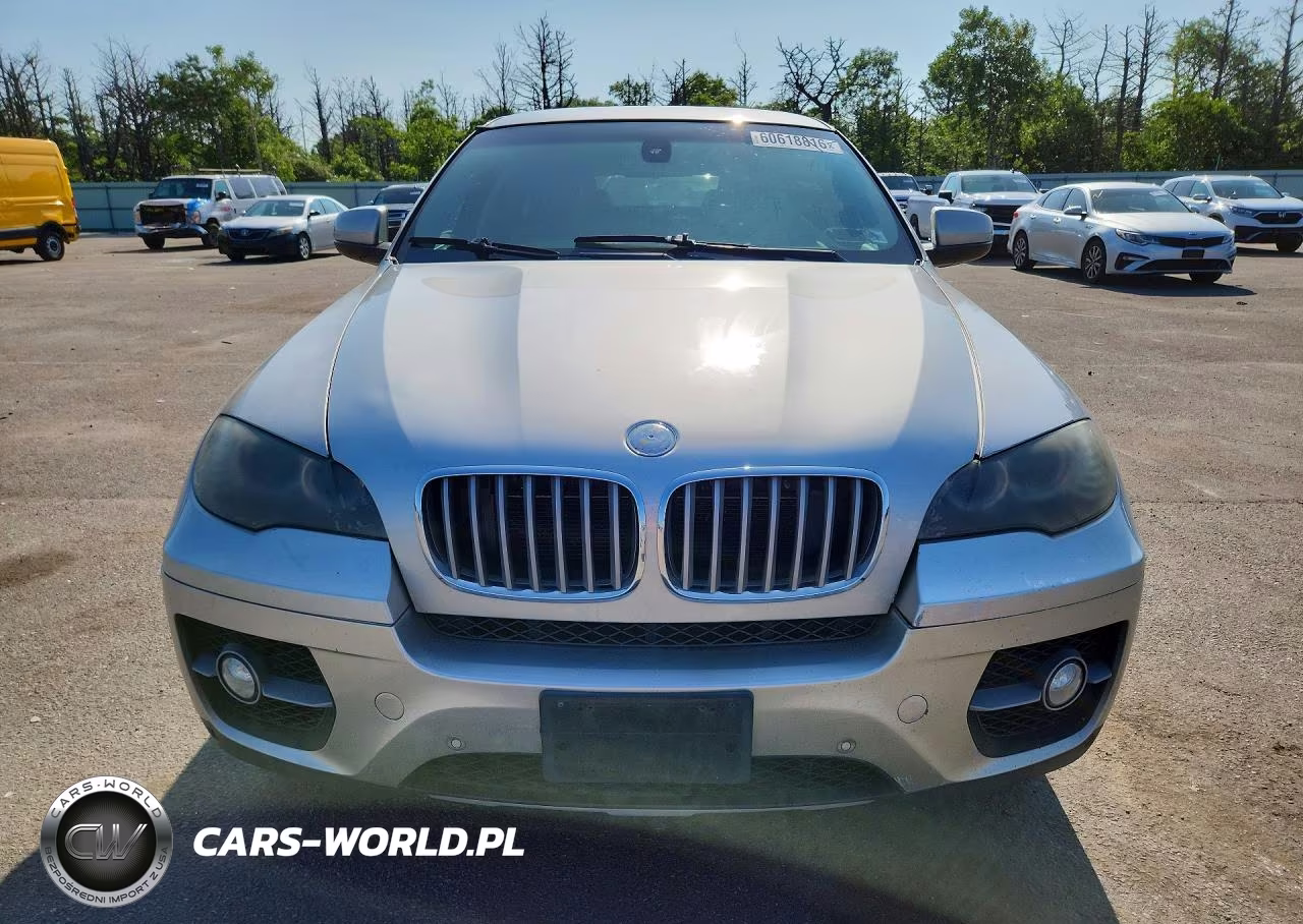 2009 BMW X6 VIN:5UXFG83539LZ93001 - 5