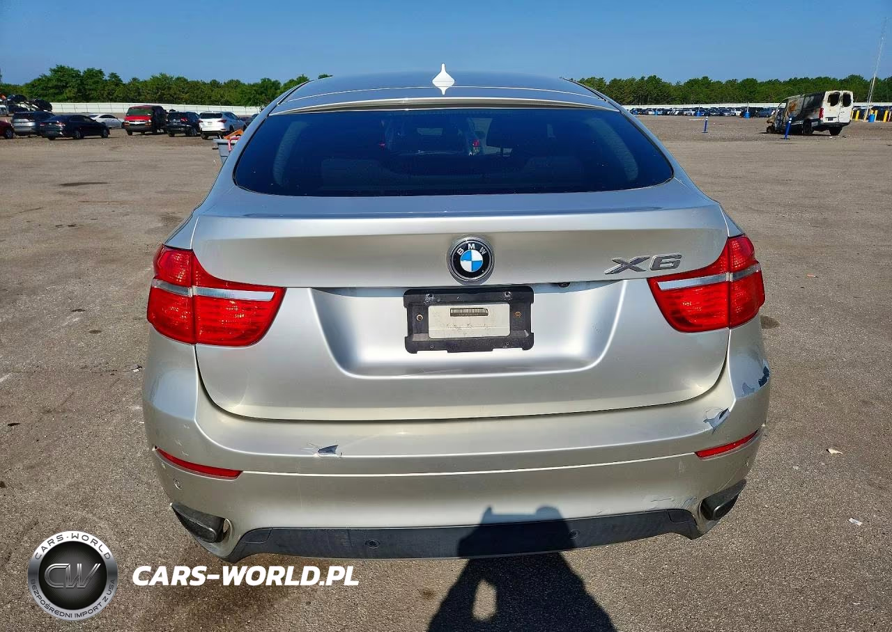 2009 BMW X6 VIN:5UXFG83539LZ93001 - 6
