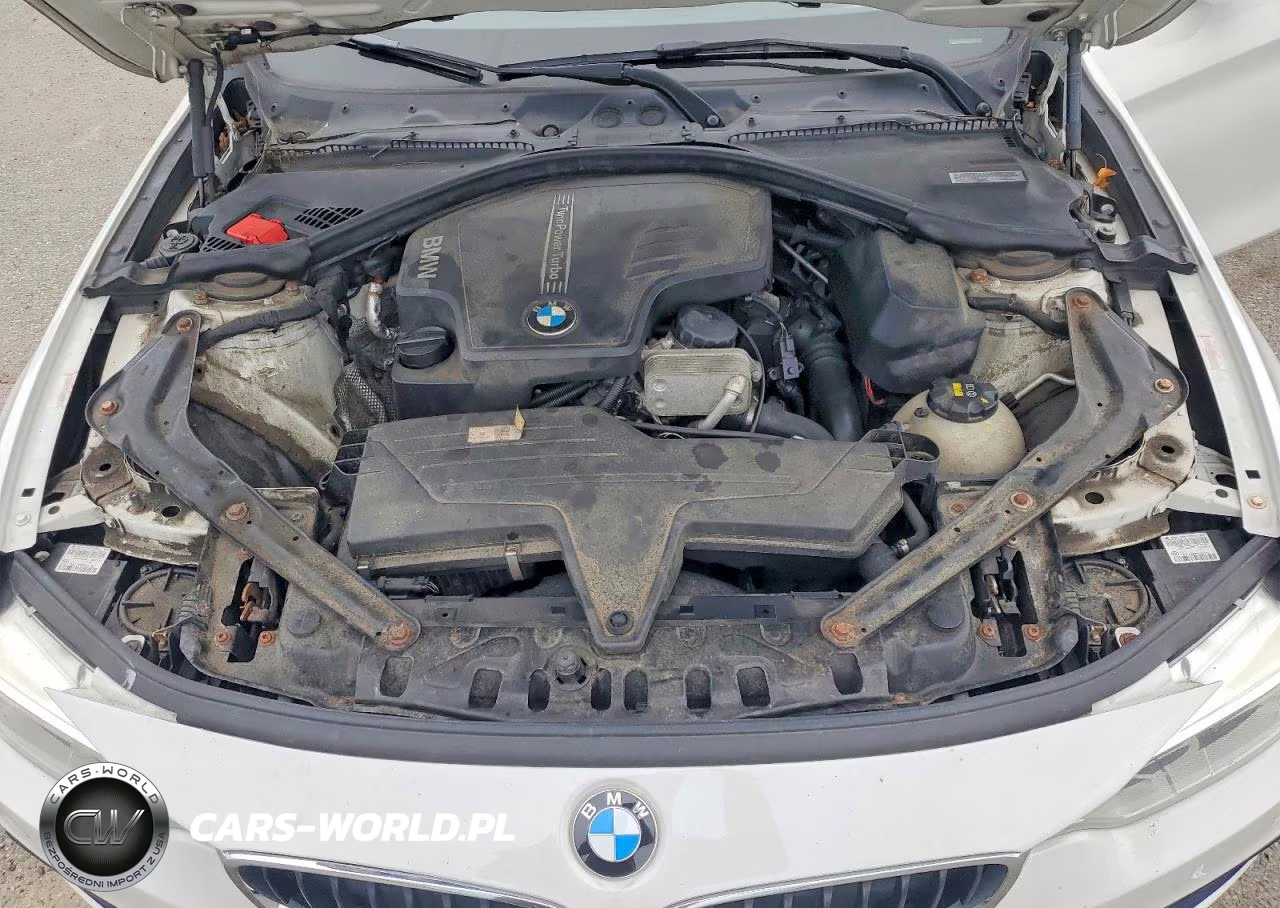 2014 BMW 428 Xi Sulev VIN:WBA3T1C51EPS98426 - 11