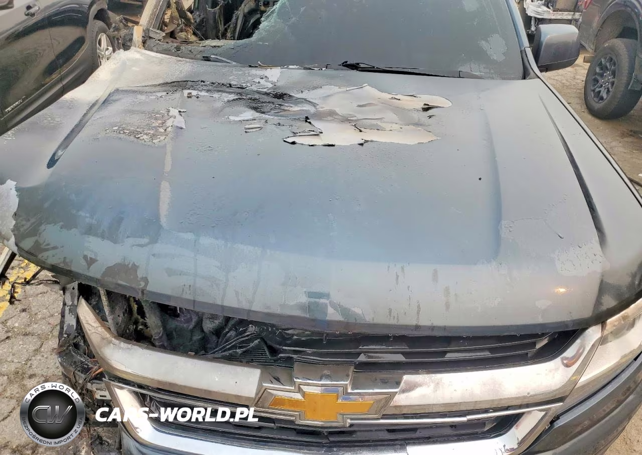 2019 Chevrolet Colorado VIN:1GCGTBEN2K1205760 - 11