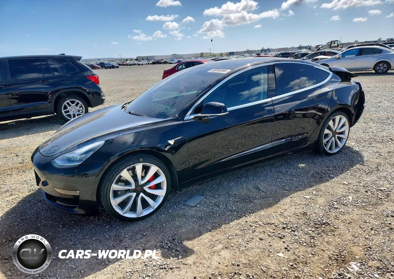 2019 Tesla Model 3
