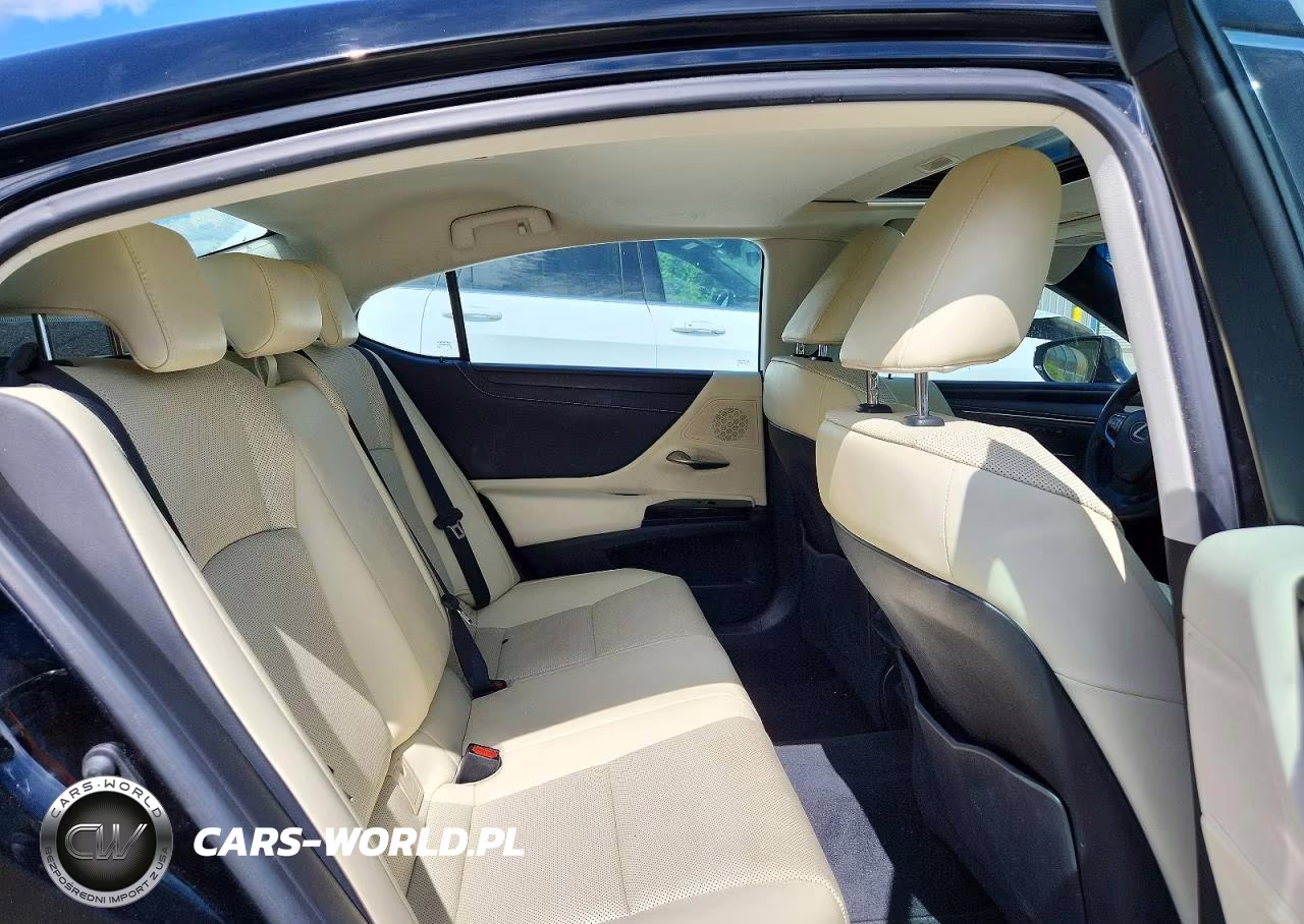 2022 Lexus Es 250 Base VIN:58AD11D16NU009202 - 10