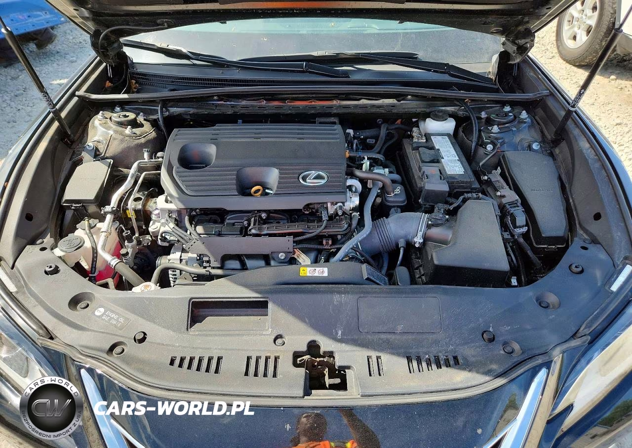 2022 Lexus Es 250 Base VIN:58AD11D16NU009202 - 11